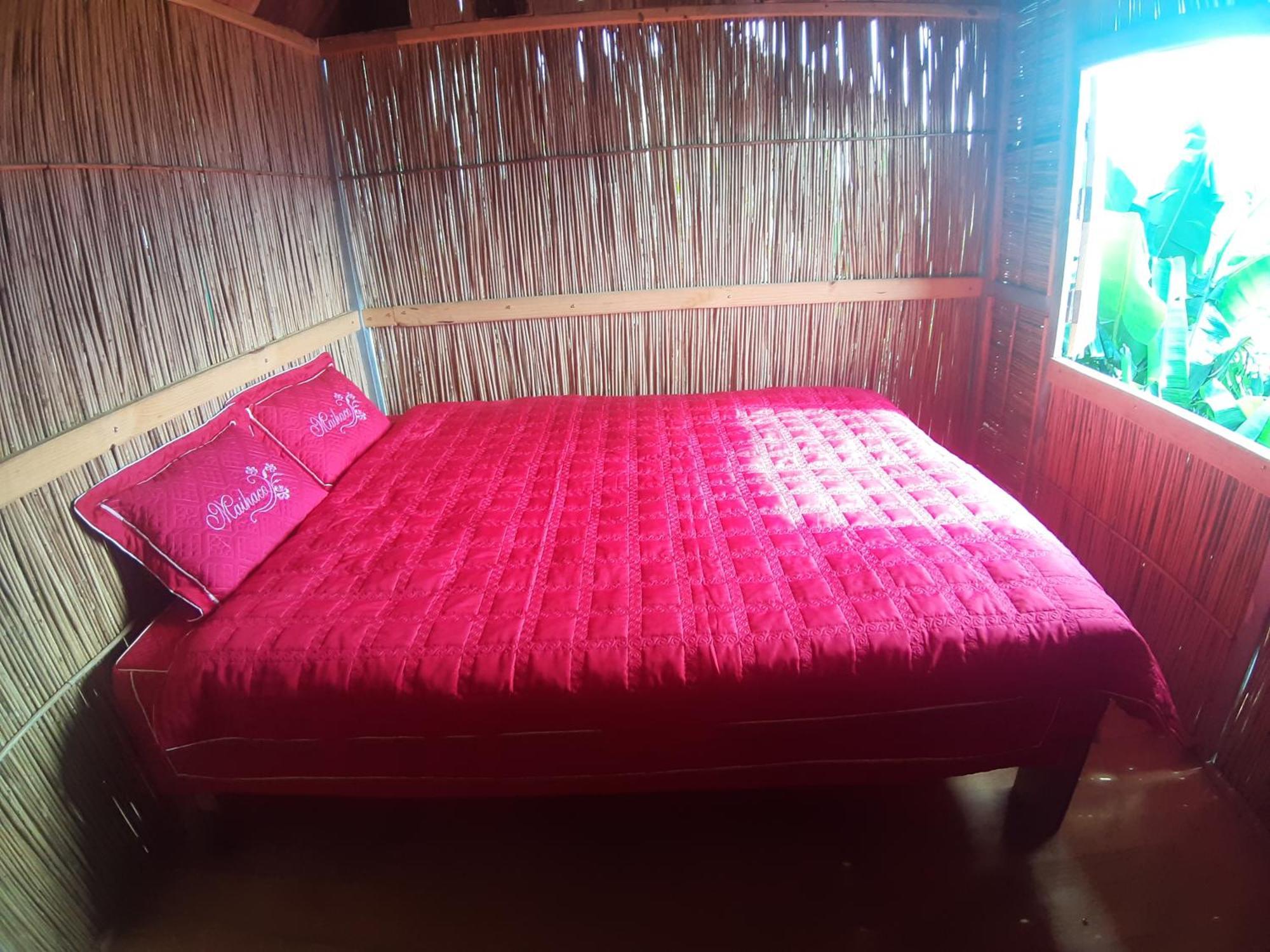 Indigenous Homestay- Trek- Food- Bus Mu Cang Chai Cameră foto